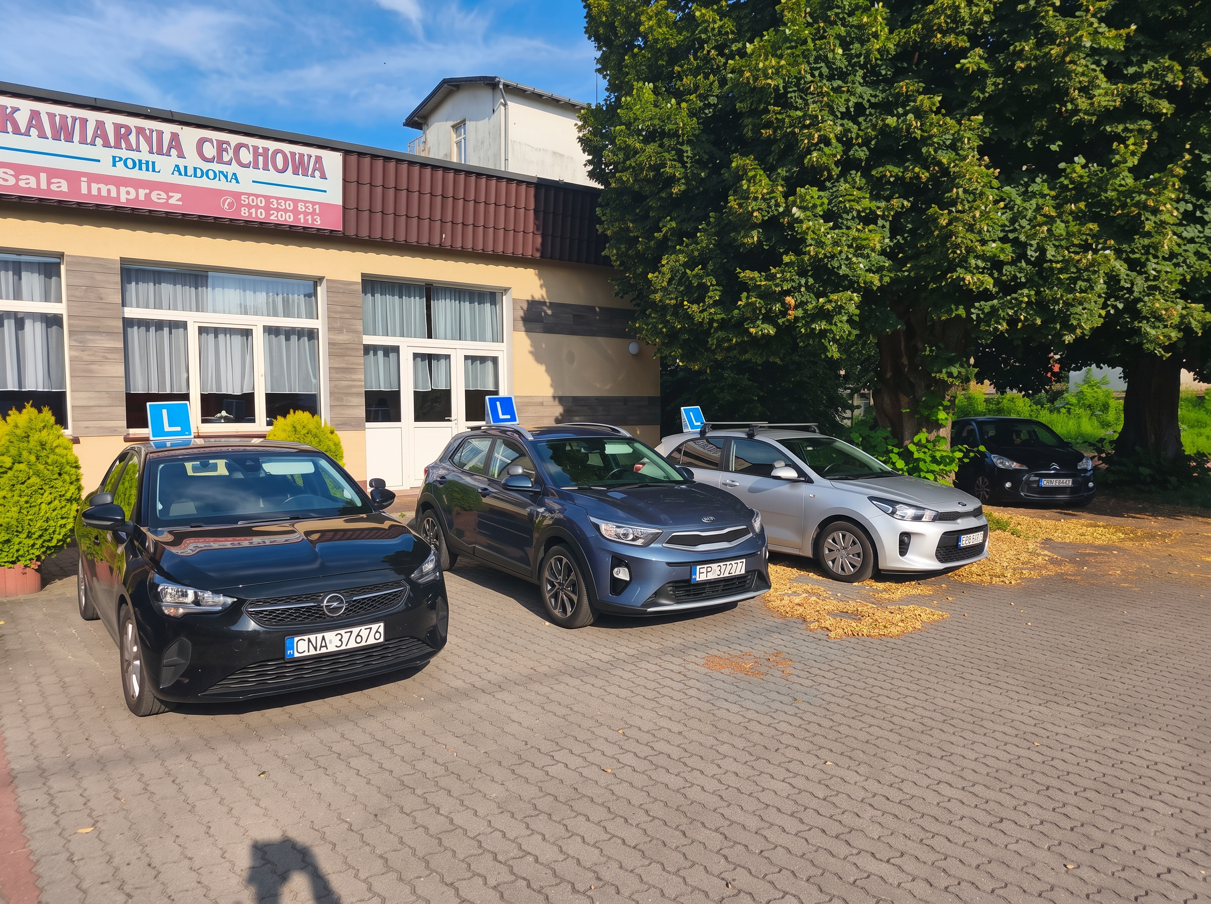 Auta szkoleniowe OSK Omega